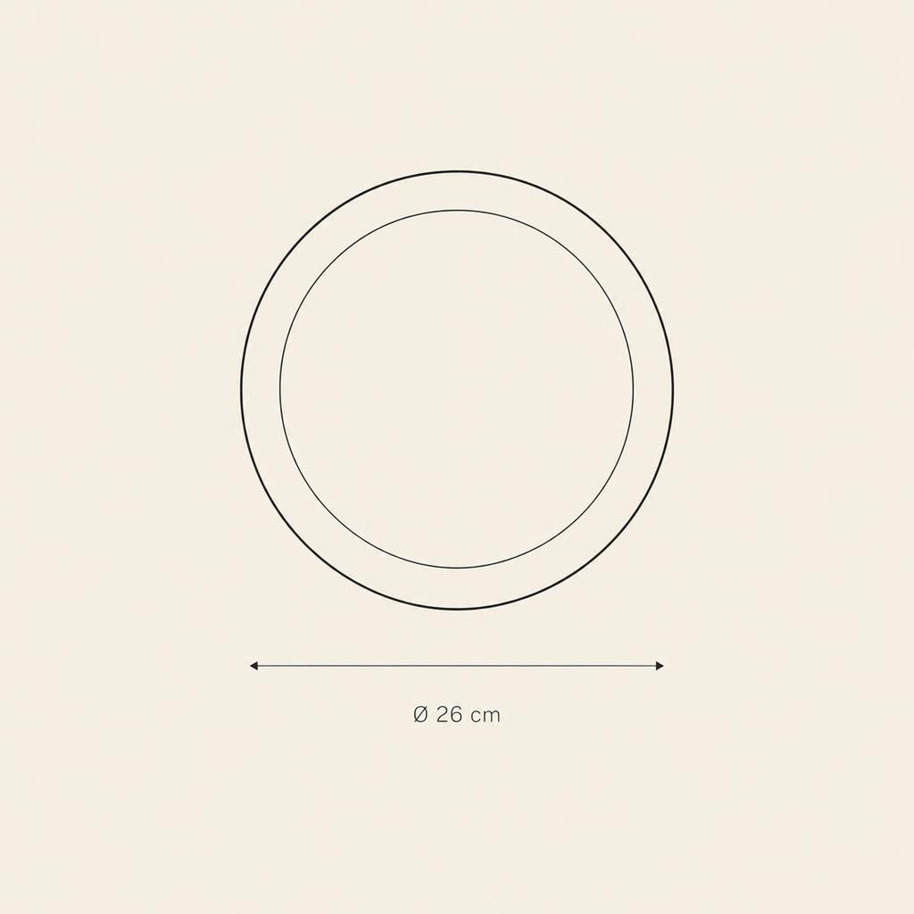 Dinner Plate - technical illustration with dimensions